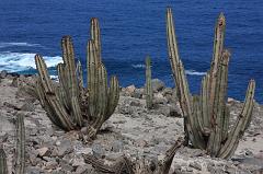 1054-per Nazca (panamericana),17 luglio 2013